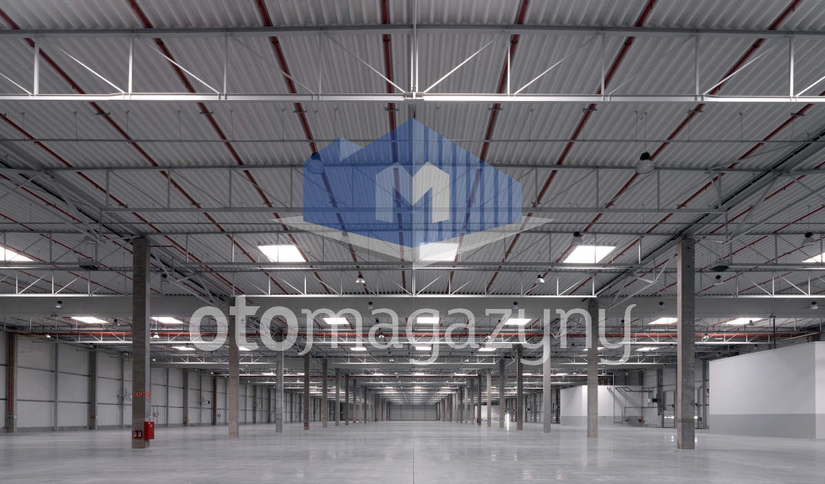 Magazyn Sosnowiec 5500 m2