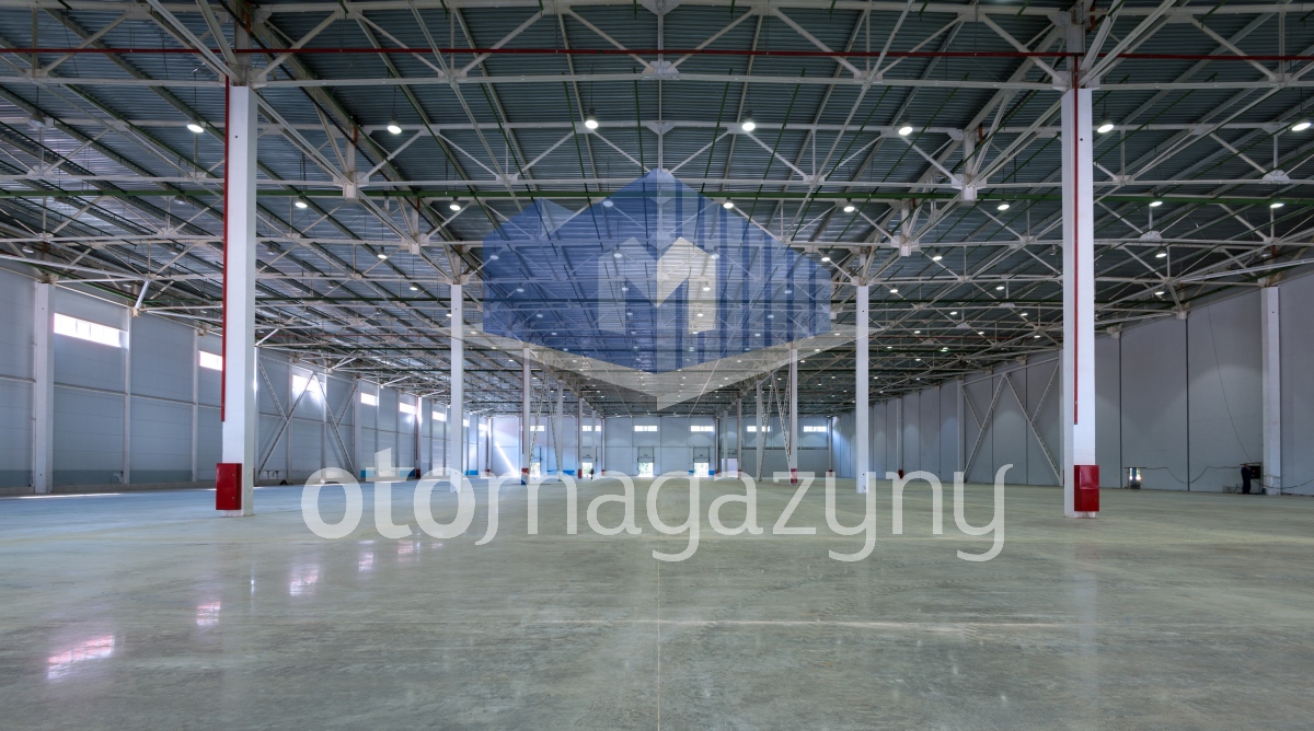 Magazyn 3100 m2 Łódź