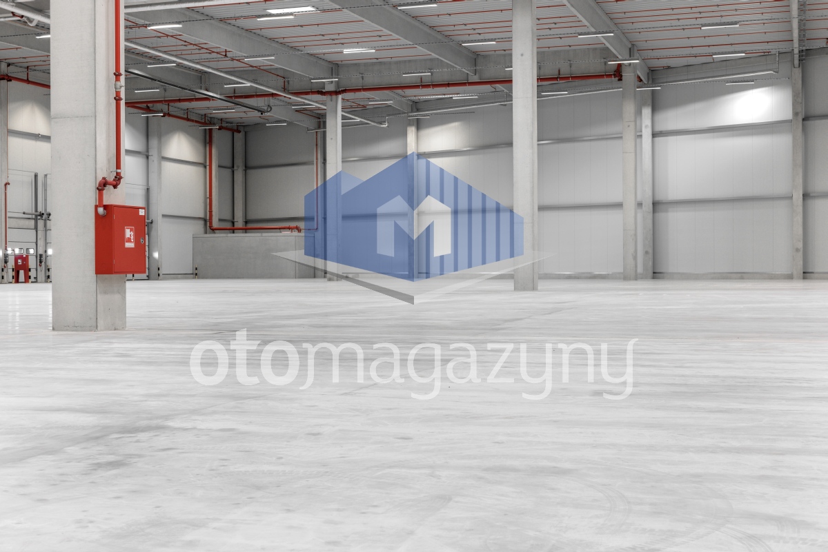 Magazyn 5200 m2 Łódź
