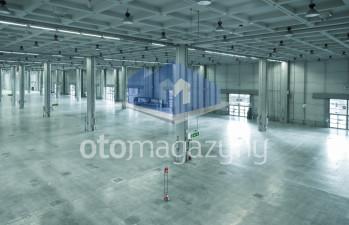 Magazyn 2000 m2 Gdańsk
